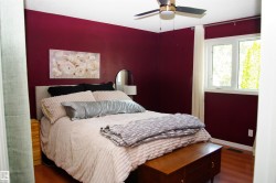 Room featuring wood-finish flooring, a contemporary ceiling fan, and a double window with white trim - 