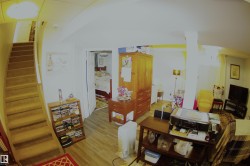 Wood-finish flooring throughout, carpeted staircase, and recessed lighting - 