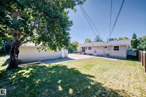 Expansive backyard featuring a mature tree, manicured lawn, and paved patio area - 3 Grantham Place, St. Albert, AB 