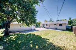 Expansive backyard featuring a mature tree, manicured lawn, and paved patio area - 