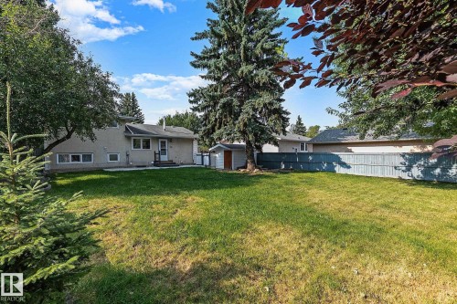 Expansive backyard featuring a large grass area, mature trees, a wooden fence, and an exterior storage shed - 16016 78A Avenue Nw, Edmonton, AB 