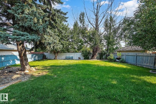 Expansive lawn area, mature trees, wood fencing, and a detached structure in the background - 16016 78A Avenue Nw, Edmonton, AB 
