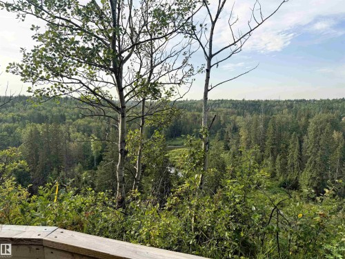Nearby Trails. Expansive natural landscape featuring lush forest, mature trees, and a distant body of water, bordered by a wood railing - #71 330 Bulyea Rd Nw, Edmonton, AB 
