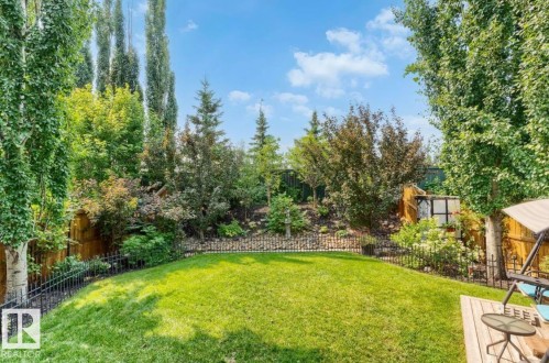 Expansive backyard featuring a manicured lawn, established landscaping, and a wood deck - 22 Voleta Crest, Spruce Grove, AB 