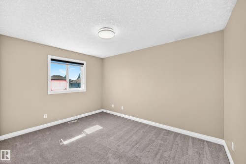 Neutral-toned walls, textured ceiling, gray carpeting, and a flush-mount ceiling light - 4711 152 Avenue Nw, Edmonton, AB 