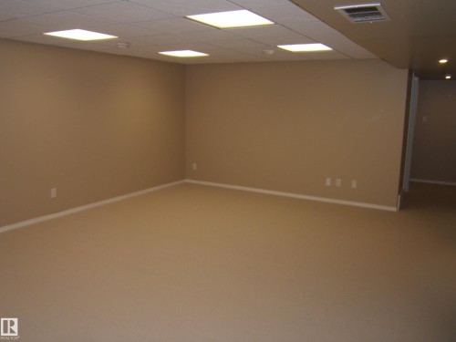 Recessed ceiling lighting, neutral carpeting, and tan wall finishes - 4825 59 Avenue, Vegreville, AB 