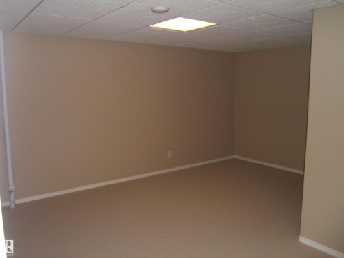 Neutral tone walls with coordinating carpet - 4825 59 Avenue, Vegreville, AB 
