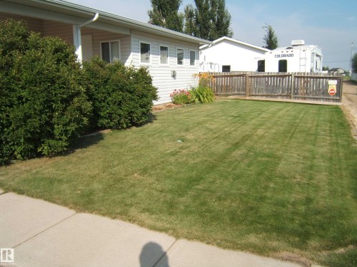 Expansive lawn with concrete sidewalk, mature perimeter shrubs, and a wood privacy fence - 4825 59 Avenue, Vegreville, AB 