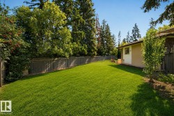 Expansive backyard featuring a manicured lawn, mature tree-lined perimeter, and metal privacy fencing - 