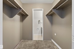 Spacious walk-in closet featuring dual clothing rods with overhead shelving, carpeted flooring, and abundant natural light from an interior window - 