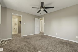 Plush carpet flooring, neutral painted walls, white trim, and a ceiling fan - 