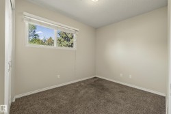 Bright secondary bedroom with expansive carpet flooring, dual outlet electrical fixtures, and abundant natural light from transom windows overlooking mature landscaping - 
