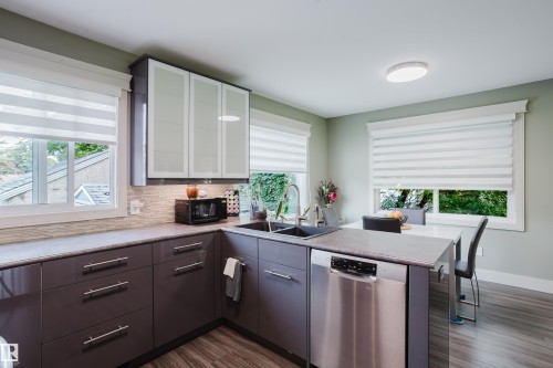 Kitchen - 14814 104 Avenue Nw, Edmonton, AB - Indoor Photo Showing Kitchen With Double Sink