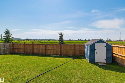Manicured lawn with a wood privacy fence, blue storage shed with white door, and green landscape beyond - 4927 57 Avenue, Cold Lake, AB 