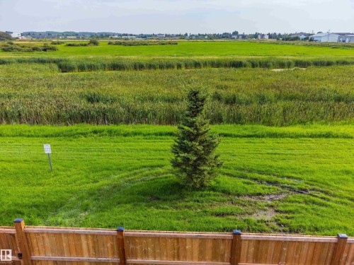Expansive grounds featuring manicured lawn, mature evergreen specimen tree, and agricultural fields beyond - 4927 57 Avenue, Cold Lake, AB 