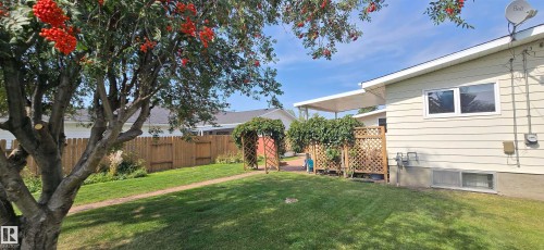 Expansive grassy yard area with mature trees and wood fencing - 4713 55 Avenue, Vegreville, AB 
