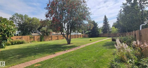 Expansive fenced yard featuring a mature central tree, manicured lawn, and paved pathway - 4713 55 Avenue, Vegreville, AB 