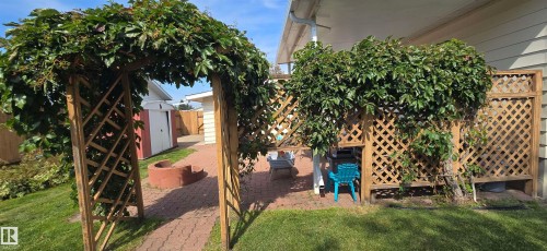Expansive backyard featuring a manicured lawn, an arched trellis with mature greenery, a red brick paver patio, a built-in fire pit, and a lattice privacy screen - 4713 55 Avenue, Vegreville, AB 