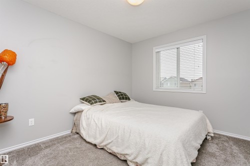 21931 91 Avenue Nw, Edmonton, AB - Indoor Photo Showing Bedroom