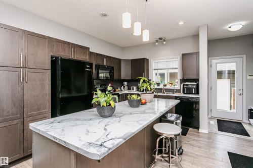 21931 91 Avenue Nw, Edmonton, AB - Indoor Photo Showing Kitchen