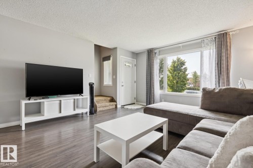 11421 22 Avenue Nw, Edmonton, AB - Indoor Photo Showing Living Room