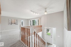 Split-level entryway featuring a white entry door with frosted glass sidelight - 
