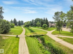 Expansive green space featuring multiple walking paths, a distinctive yellow pedestrian bridge, mature trees, and a natural drainage channel - 