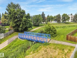 Expansive green space featuring a blue pedestrian bridge and paved pathways - 