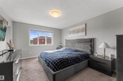 Carpeted flooring paired with neutral wall tones - 