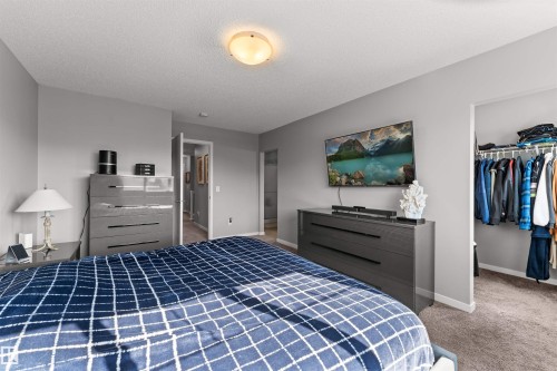 Carpeted bedroom with neutral gray walls and a built-in closet featuring shelving and hanging rods - 12218 176 Avenue Nw, Edmonton, AB 