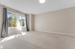 Neutral wall paint, light-toned carpet, and a large window - 