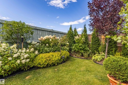 1304 165 Street Sw, Edmonton, AB 