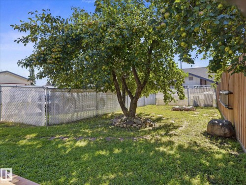7411 141 Avenue Nw, Edmonton, AB 