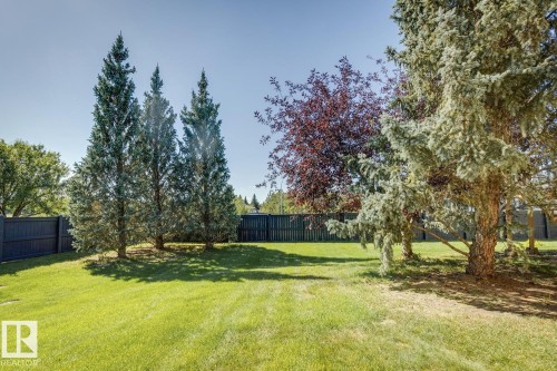 #8 11809 9B Av Nw, Edmonton, AB 