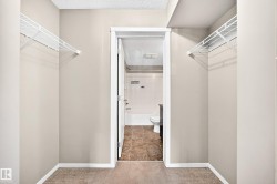Walk-in closet with wire shelving - 