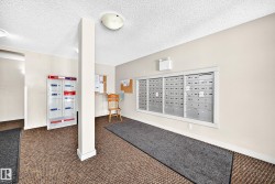 Mailbox area with organized individual mailboxes and carpeted flooring - 