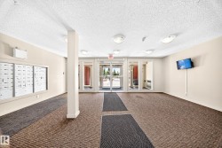 Carpeted entry foyer with integrated floor mats, wall-mounted mailboxes, and multiple ceiling-mounted light fixtures - 