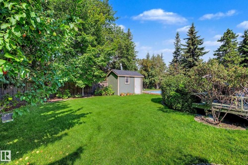 Expansive backyard featuring a green lawn, wood fence, mature trees, a storage shed, and a visible pool - 36 Lodgepole Crescent, St. Albert, AB 