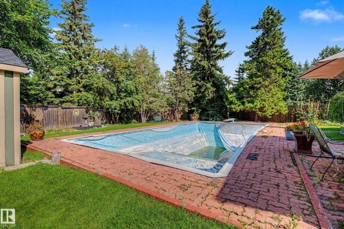 In-ground pool surrounded by a red paver patio, featuring a diving board and mature perimeter trees - 36 Lodgepole Crescent, St. Albert, AB 