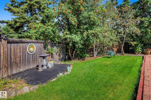 Lush green lawn with a red brick pathway - 36 Lodgepole Crescent, St. Albert, AB 
