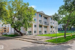 #16 11219 103A AV NW  Edmonton, AB T5K 2E4