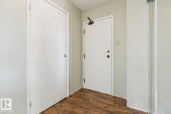Wood-finish flooring with white trim - 