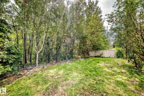 Expansive natural grounds featuring mature trees and a sloped grassy area - 417 Caldwell Place Nw, Edmonton, AB 