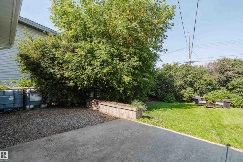 Manicured lawn area bordered by mature trees and shrubs - 4708 106 Avenue Nw, Edmonton, AB 