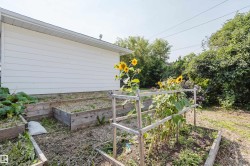 Raised garden beds with timber borders, expansive green foliage, and white siding - 