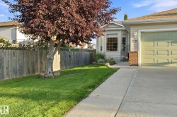 Siding exterior with brick accents, bay window, light green garage door, concrete driveway, and front lawn with mature tree - 