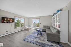 Wood-finish flooring, light grey wall paint, multiple windows, and a built-in display cabinet - 
