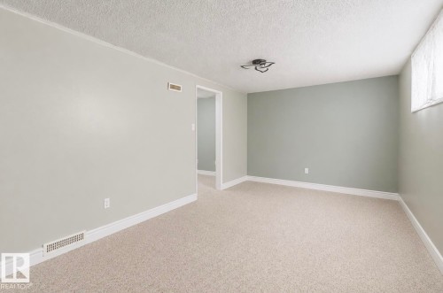 Carpeted room with light grey walls and an accent wall - 12150 47 Street Nw, Edmonton, AB - Indoor Photo Showing Other Room