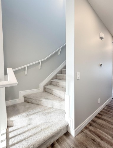 Carpeted staircase with white handrail and white trim detailing - 1003 Goldfinch Way Nw, Edmonton, AB 