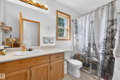 Vanity with an integrated sink, wood-finish cabinetry, and a full-width mirror - 1223 Gillespie Crescent Nw, Edmonton, AB 